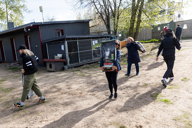 „Nestlé Baltics“ nuotr./Aukštesnis tikslas suvienija – „Nestlé Baltics“ gyvūnų prieglaudoms paaukos daugiau nei 1,3 tonas maisto 