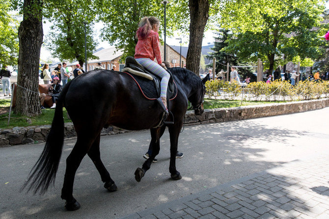 „Ogmios miesto“ nuotr. /Vasarą tradiciškai pradės – „Ogmios miesto“ „Gimtadienis ant žolės“: šeimų laukiamiausia šventė žada būti įspūdinga