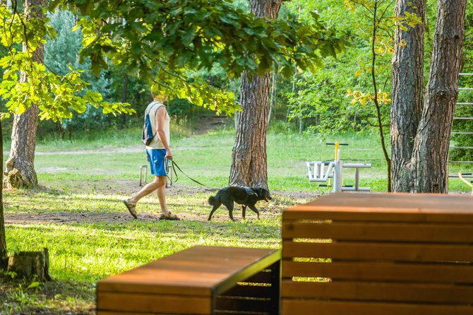 „TrenkTuro“ nuotr./Didžiausiame Bukčių miško parke Vilniuje pasivaikščioti kviečia trys nauji maršrutai