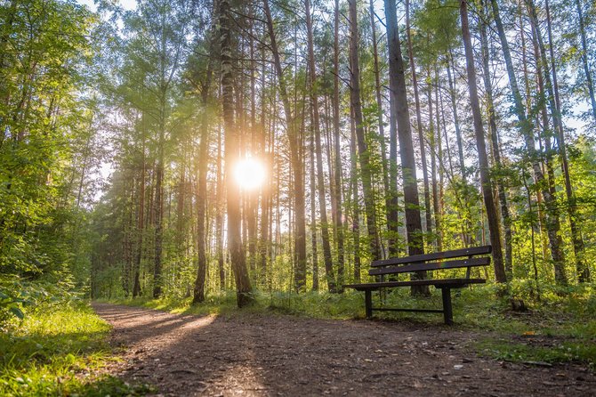 „TrenkTuro“ nuotr./Didžiausiame Bukčių miško parke Vilniuje pasivaikščioti kviečia trys nauji maršrutai