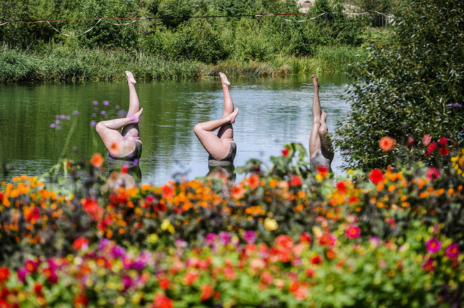 Pakruojo dvaro nuotr./Gėlių ir meno festivalis pasiekė savo apogėjų: suskubkite pasimėgauti unikaliais vaizdais, kvapais ir potyriais