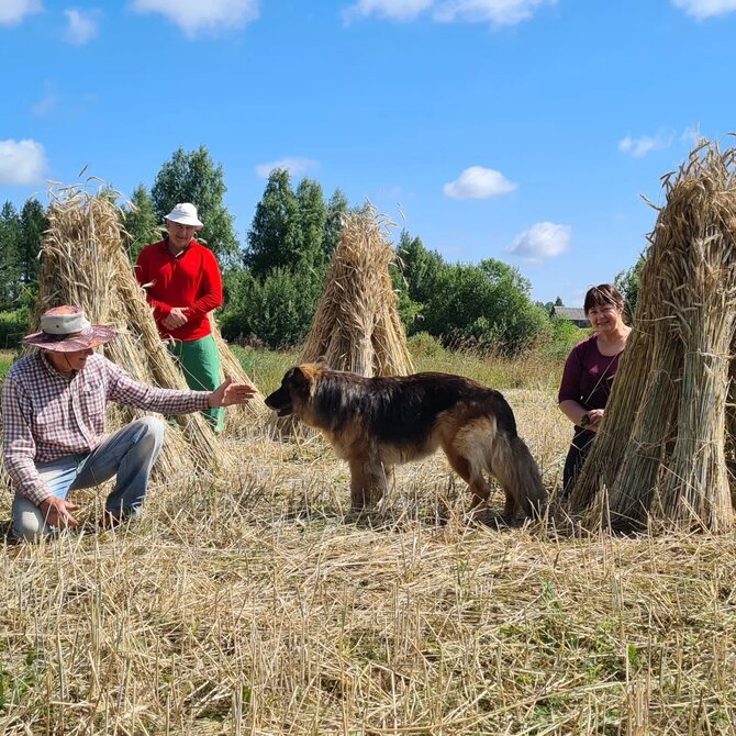 Asmeninio archyvo nuotr./„Kumutis“ darbai iš šiaudų