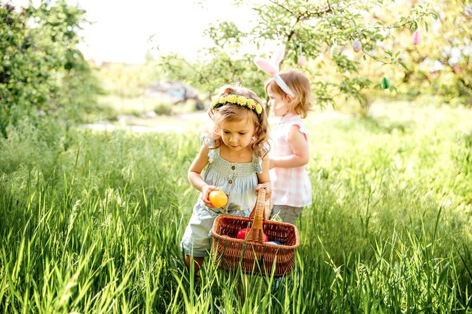 Shutterstock nuotr./Kiaušinių medžioklė
