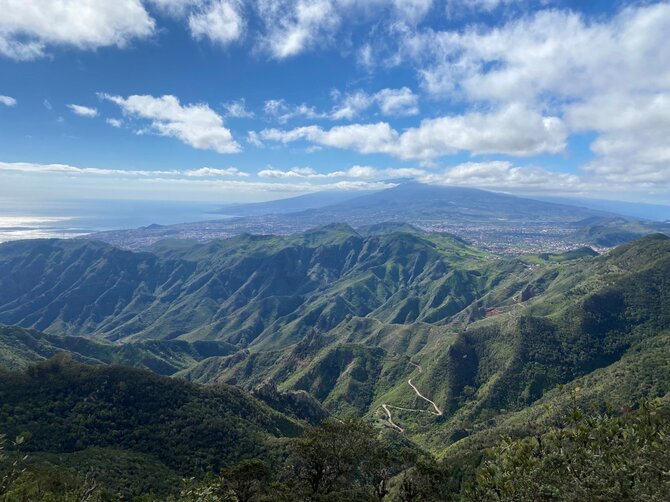 Asmeninio archyvo nuotr./Evelina Tarasevičiūtė Tenerifėje
