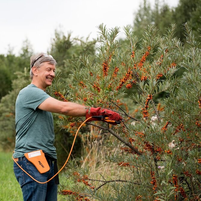 Asmeninio archyvo nuotr./Šaltalankių ūkis „Amberry“