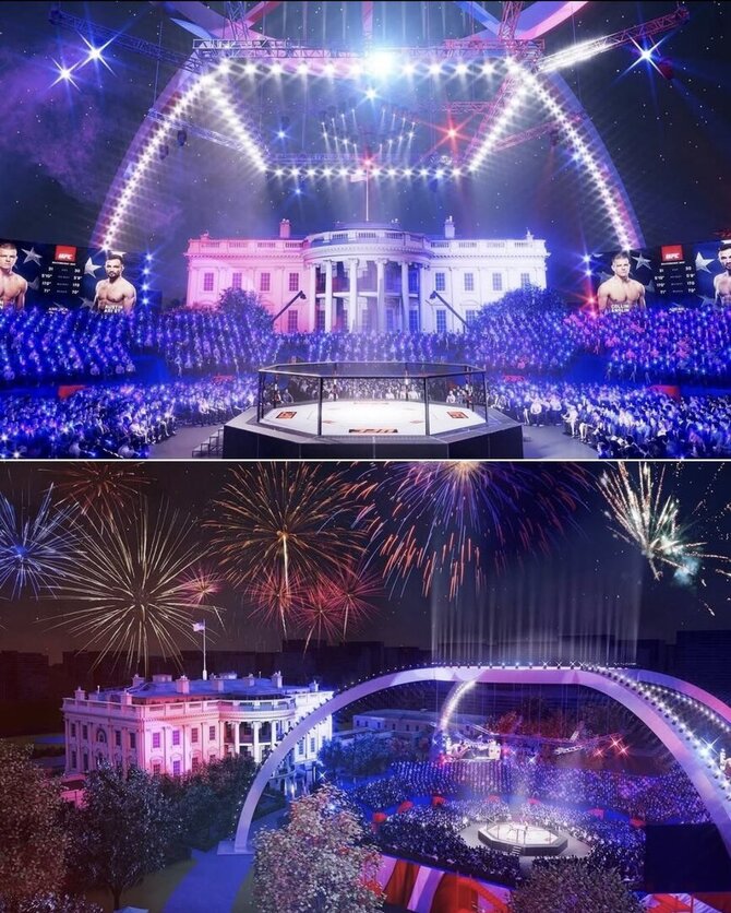 Socialinių tinklų nuotrauka/UFC kovos ringo vizualizacija