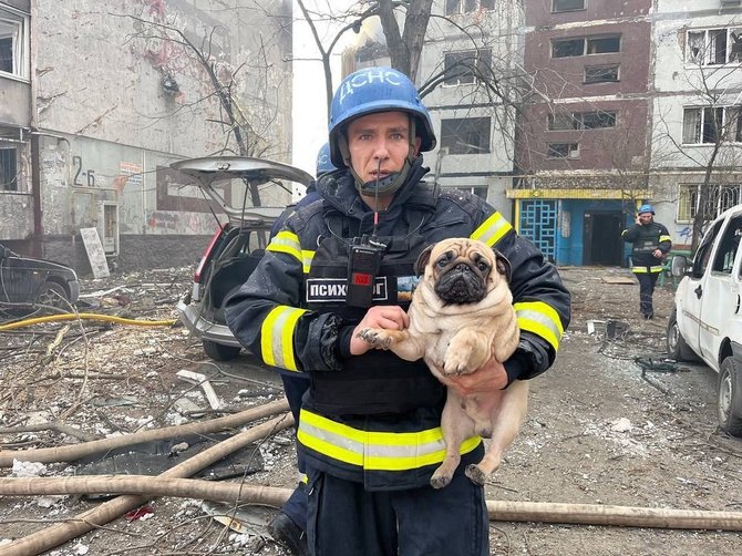 „DSNS Ukraina“ „Telegram“ kanalas/Gelbėtojams pavyko išgelbėti 6 asmenis ir šunį