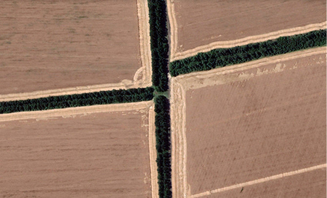 „Google Earth“/Laukai netoli Bachmuto