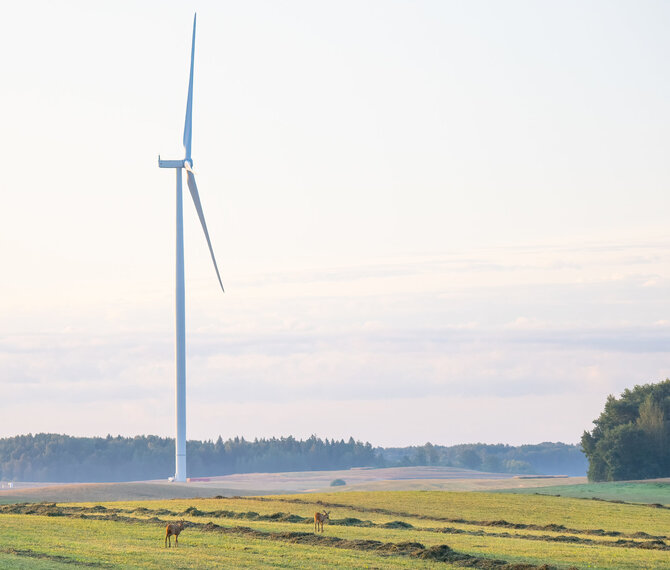 „Ignitis“ nuotr./„Ignitis Renewables“ statomas didžiausias Lietuvoje vėjo elektrinių parkas Kelmės rajone