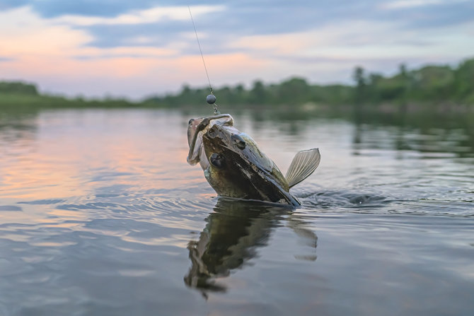 iStock nuotr. /Žvejyba