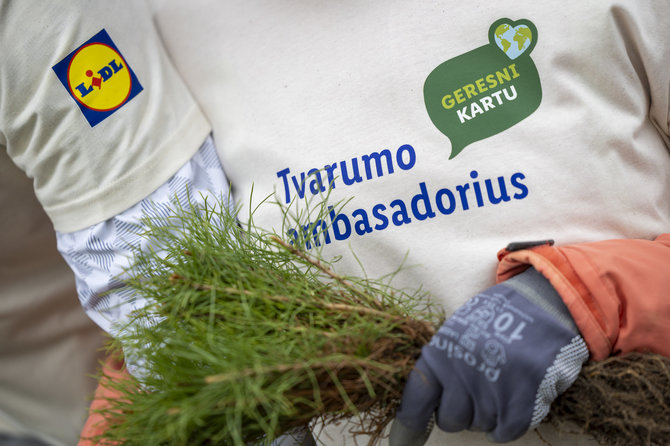 „Lidl“ nuotr./Nacionaliniame miškasodyje dalyvusi „Lidl Lietuva“ komanda pasodino beveik 14 tūkst. medelių