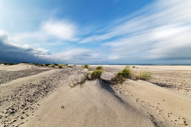 Shutterstock nuotr./Baltijos jūra yra viena iš labiausiai užterštų pasaulyje