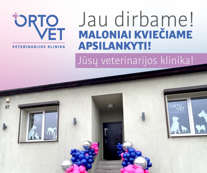 „Ortovet“ nuotr./Vilijampolėje duris atvers nauja specializuota veterinarijos klinika Ortovet
