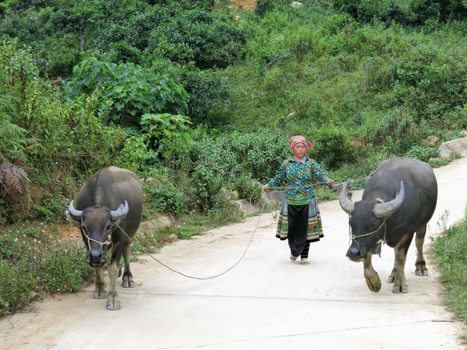 „Travel Planet“ nuotr./Toks žinomas ir ne visada suprantamas Vietnamas