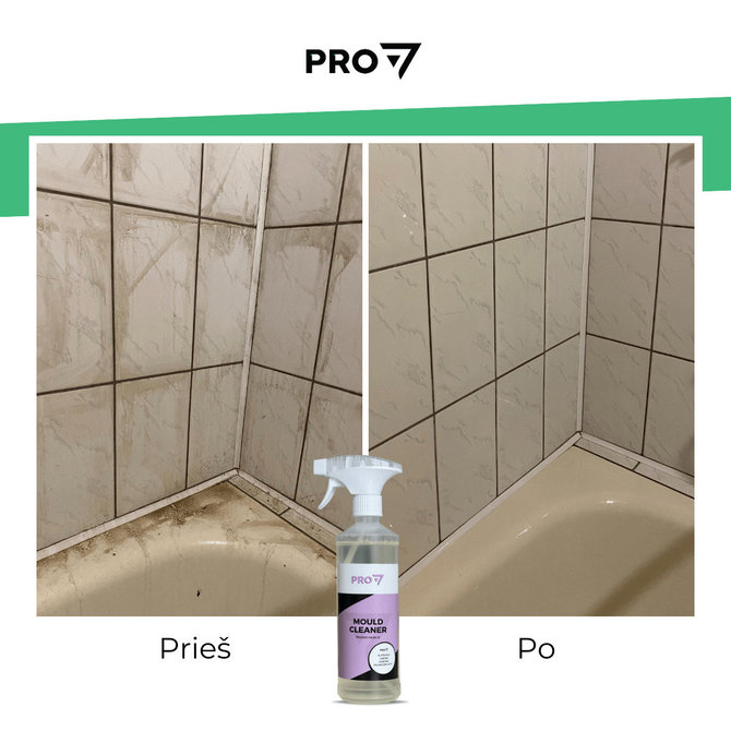 „Pro7“ nuotr./Pelėsio valymas vonios kambaryje