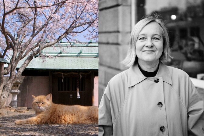Vilniaus dokumentinių filmų festivalio nuotr. /Vilma Levickaitė ir „Gokogu šventyklos kates“ stop kadras