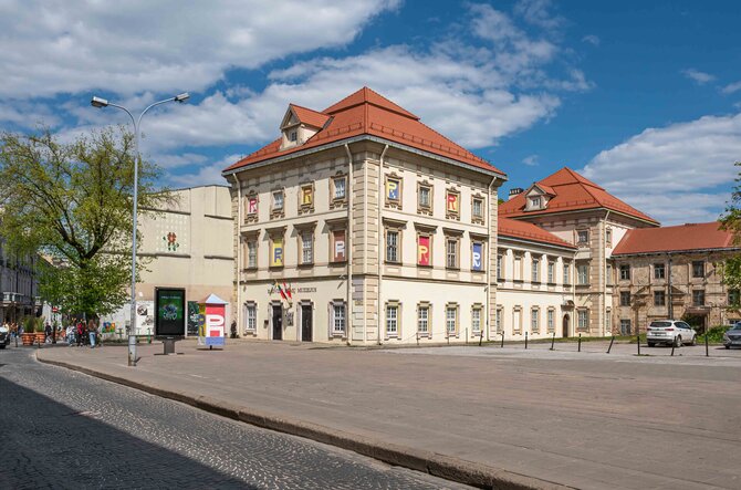 G.Grigėnaitės/LNDM nuotr. /LNDM Radvilų rūmų dailės muziejus