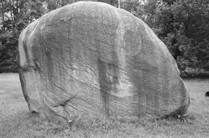 Deimanto Narkevičiaus fotografija