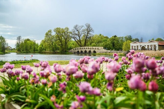 „Pakruojo dvaro“ nuotr./5 milijonai žiedų ir didieji Renesanso atradimai: Pakruojo dvaras žada įspūdingą pavasario atgimimą