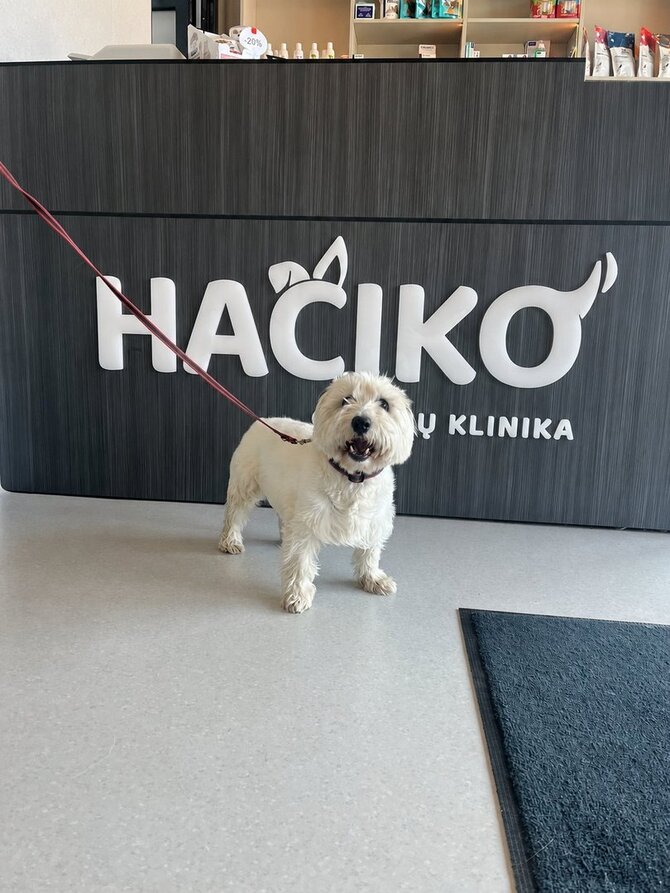 „Hačiko“ nuotr. /šuo Meška