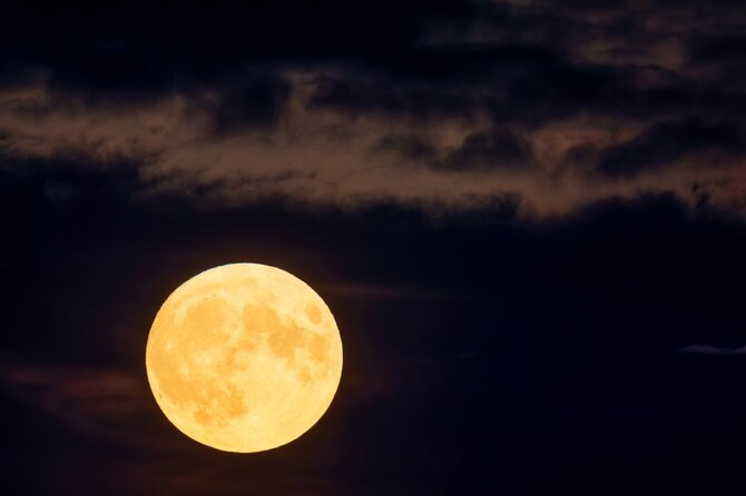 Shutterstock nuotr./Pilnatis