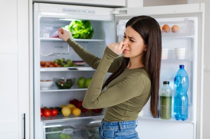 Shutterstock nuotr./Maisto produktai šaldytuve