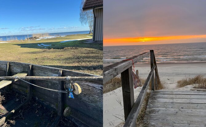 Asmeninio archyvo nuotr. / „15min“ fotomontažas / „Zuikių gaudynės“ Neringoje
