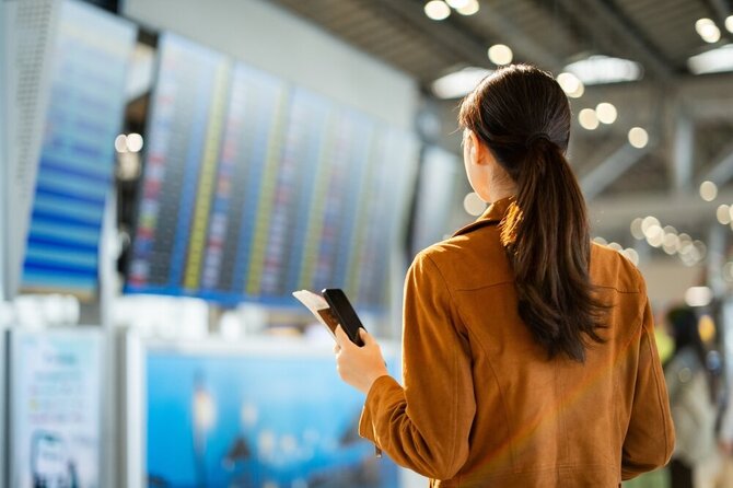 Shutterstock nuotr./Skrydžiai