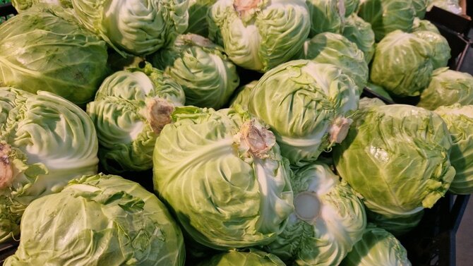 Shutterstock nuotr./Kopūstas