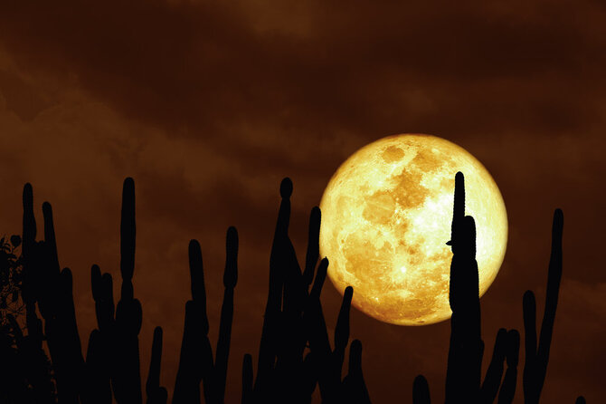 Shutterstock nuotr./Pilnatis