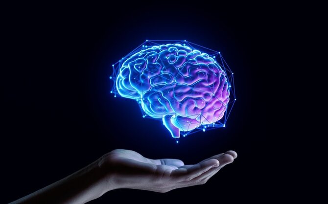 Shutterstock nuotr./Atmintis, smegenys