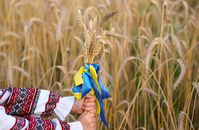 Shutterstock nuotr./Ukraina, grūdai