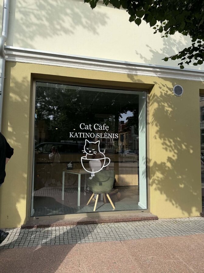 Aurelija Jašinskienė/Klaipėdoje atidaryta kačių kavinė sulaukė lankytojų susidomėjimo