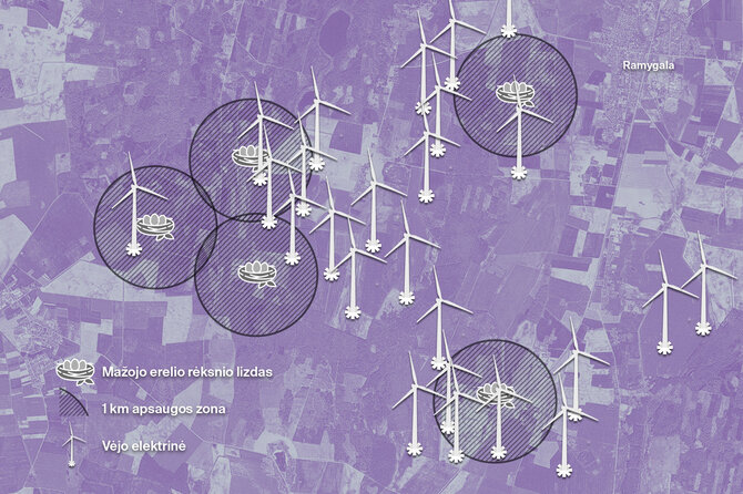 Panevėžio rajono vėjo elektrinių projektas, mažųjų erelių rėksnių lizdai