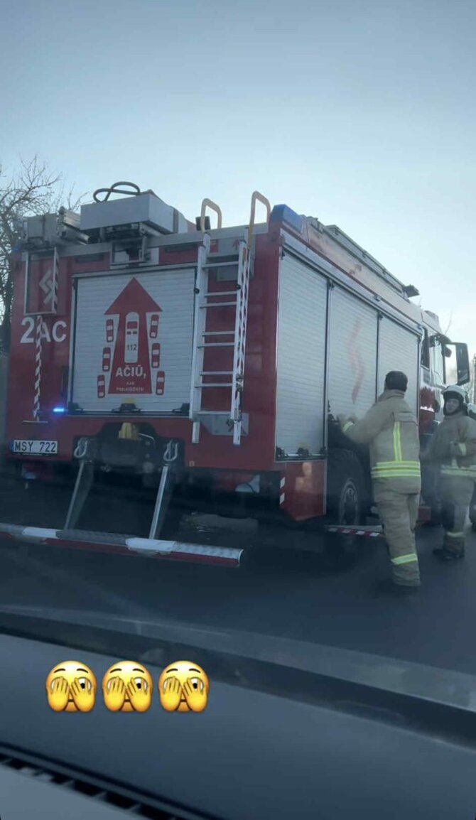 Stop kadras/Gerdos Žemaitės namų kieme kilo gaisras