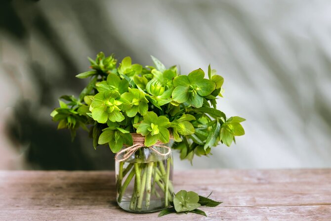 Shutterstock nuotr./Eleborai
