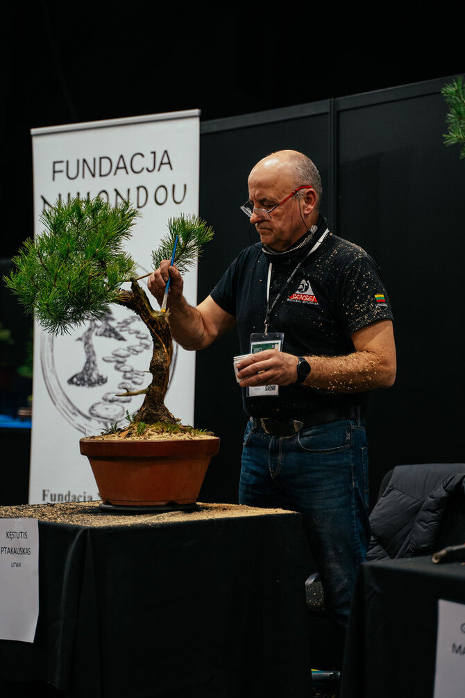 K.Ptakausko nuotr./K.Ptakausko bonsai menas