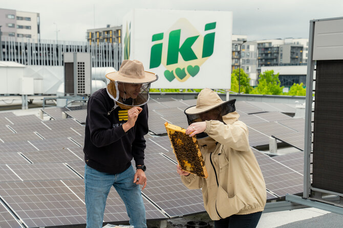 „Iki“ nuotr./Ar paragavę medaus atspėtumėte miestą? Ekspertai vardija, kuo išsiskirs skirtingų Lietuvos miestų medus 