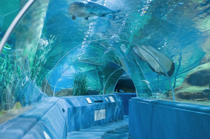 „Kopaturas" nuotr./„Aquarium“