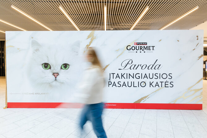 „Gourmet“ nuotr./Nuo mados žurnalų žvaigždės iki vyriausiojo peliautojo: Vilniuje vyksta žymiausių pasaulio kačių istorijų paroda