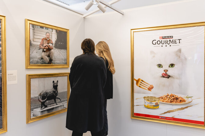 „Gourmet“ nuotr./Nuo mados žurnalų žvaigždės iki vyriausiojo peliautojo: Vilniuje vyksta žymiausių pasaulio kačių istorijų paroda