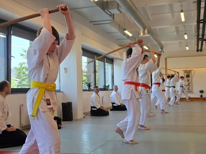 „Ogmios miestas“ nuotr./Nuo sporto ir kūrybos – iki vidinės ramybės bei Rytų filosofijos: „Ogmios miestas“ vaikus kviečia į aikido vasaros stovyklas 