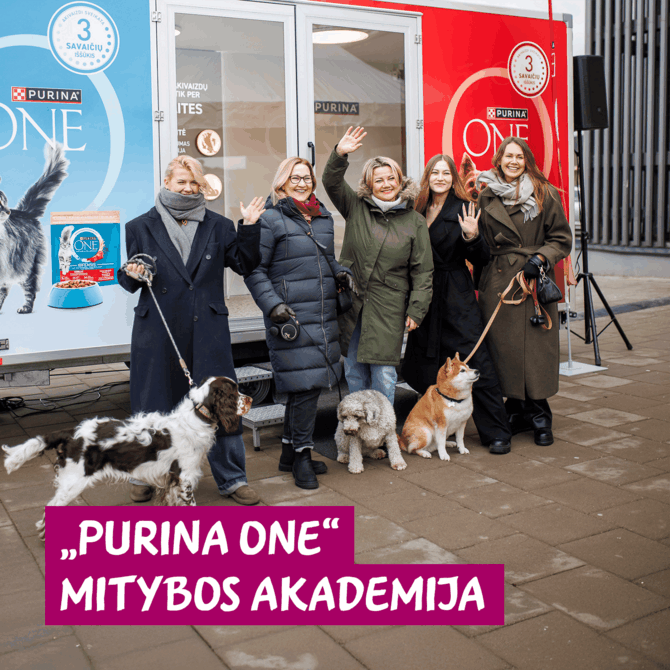 Organizacijos nuotr./Dažna dilema – augintinių mityba: beveik 5 tūkst. šeimininkų suteiktos nemokamos konsultacijos 
