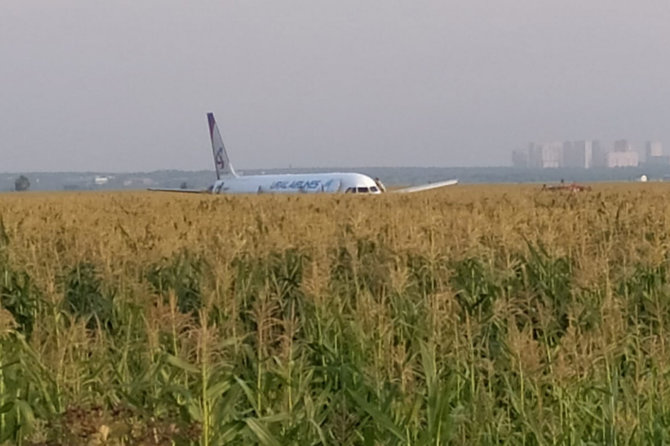„Scanpix“/ITAR-TASS nuotr./Rusijos oro bendrovės „Uralskie avialinii“ laineris „Airbus А-321“ be važiuoklės sėkmingai nusileido kukurūzų lauke.