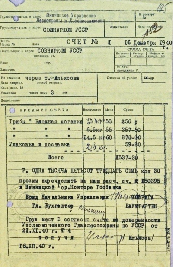 NKVD dokumentas iš atvertų Ukrainos archyvų – sąskaita už surinktas žalsvasias musmires