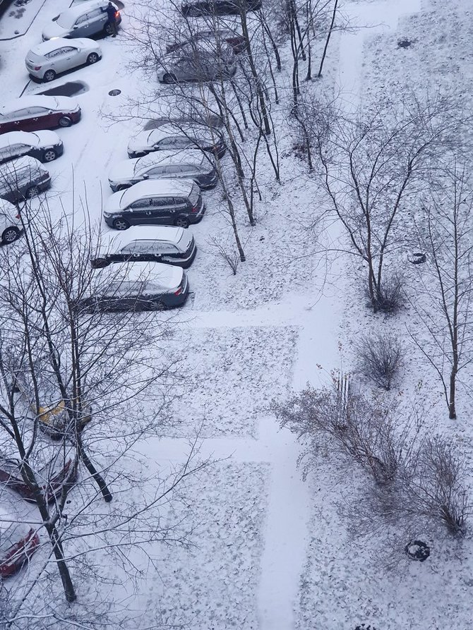 15min nuotr./Pirmasis sniegas 2021 metais Vilniuje