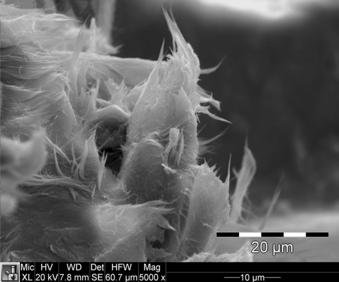 Ravaka/Wikipedia.org nuotr./Chrizotilo plaušai, matomi per elektroninį mikroskopą