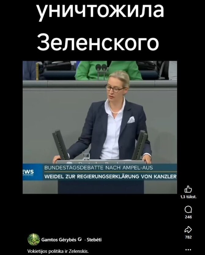 Kadras iš vaizdo įrašo