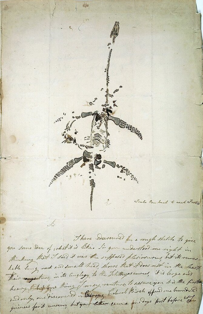 Wikipedia.org nuotr./1823 m. Mary Anning laiškas ir piešinys, kuriame ji praneša apie fosilijos, vėliau gavusios pleziozauro pavadinimą, radimą