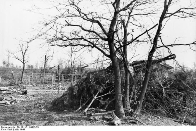 Vokietijos Bundesarchyvo/Wikimedia.org nuotr./Užmaskuota vokiečių savaeigių haubicų „Wespe“ baterija Italijoje (1944 m. kovas)